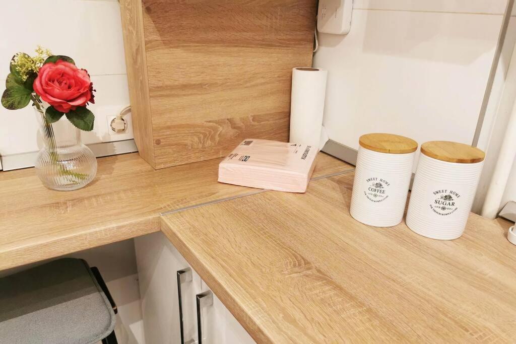 New Cozy In Near Airport Apartment Otopeni
