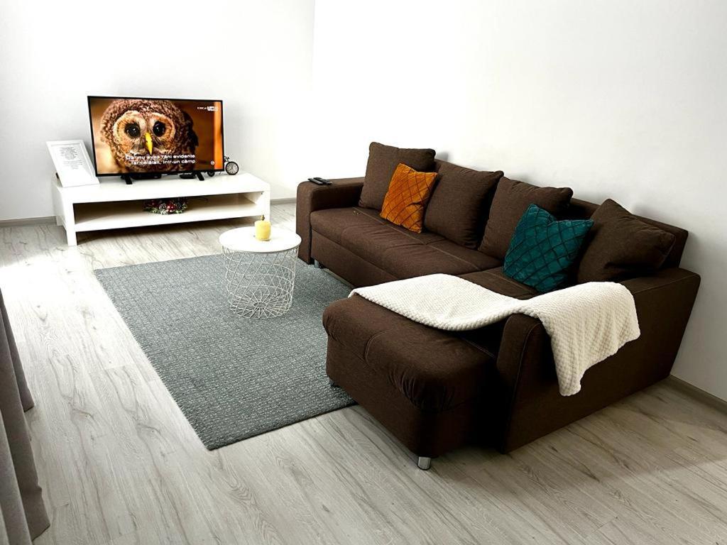 New Cozy In Near Airport Otopeni